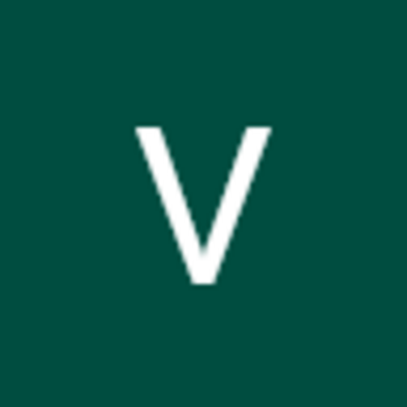 vlsdvm